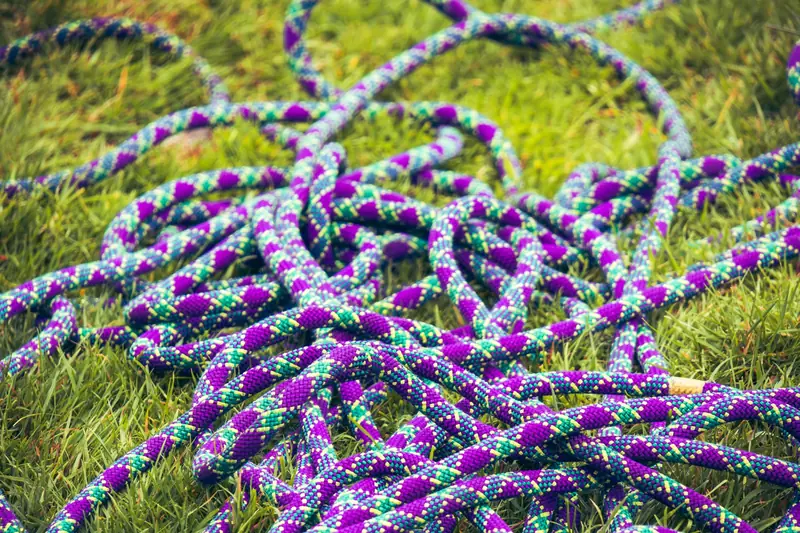 Vibrant purple and green climbing rope coiled on lush green grass, perfect for outdoor adventure scenes