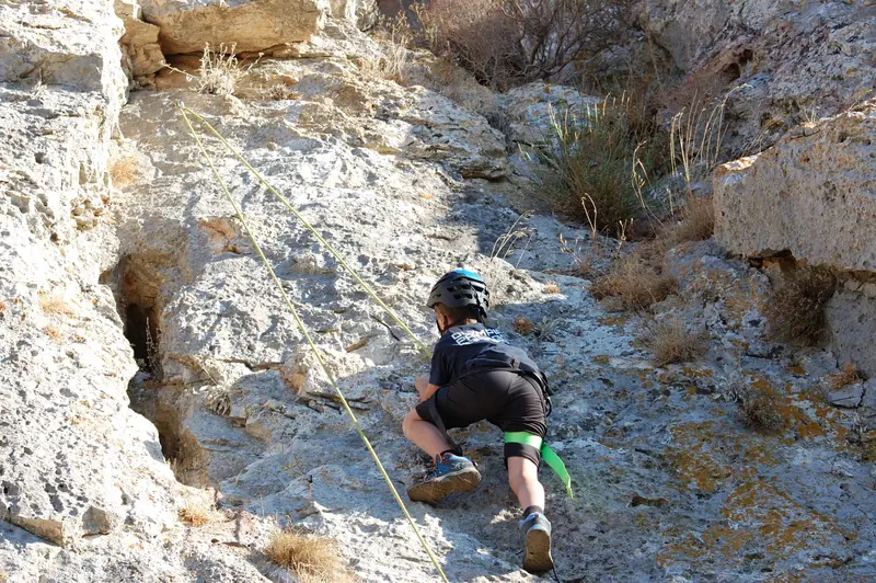 A young child climbing a rock wall outdoors on a sunny day with safety gear